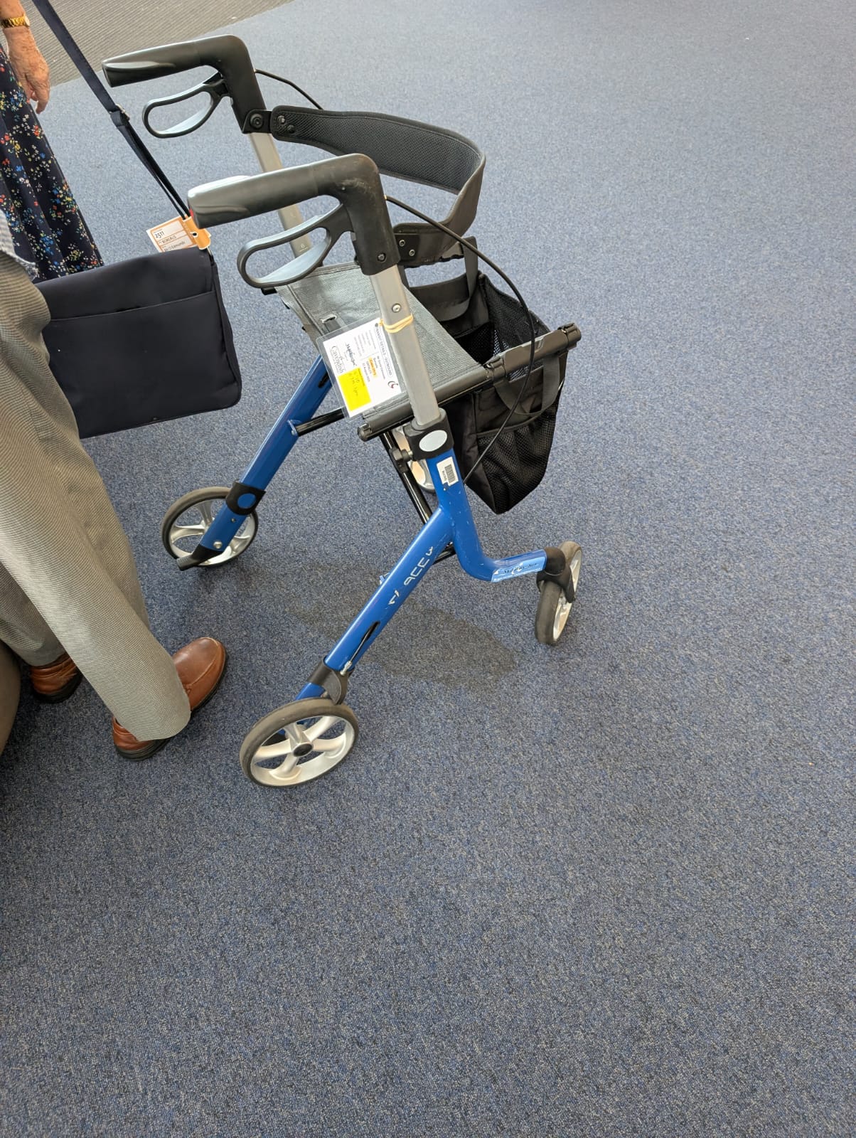 Can You Hire a Rollator for Your Cruise Holiday?