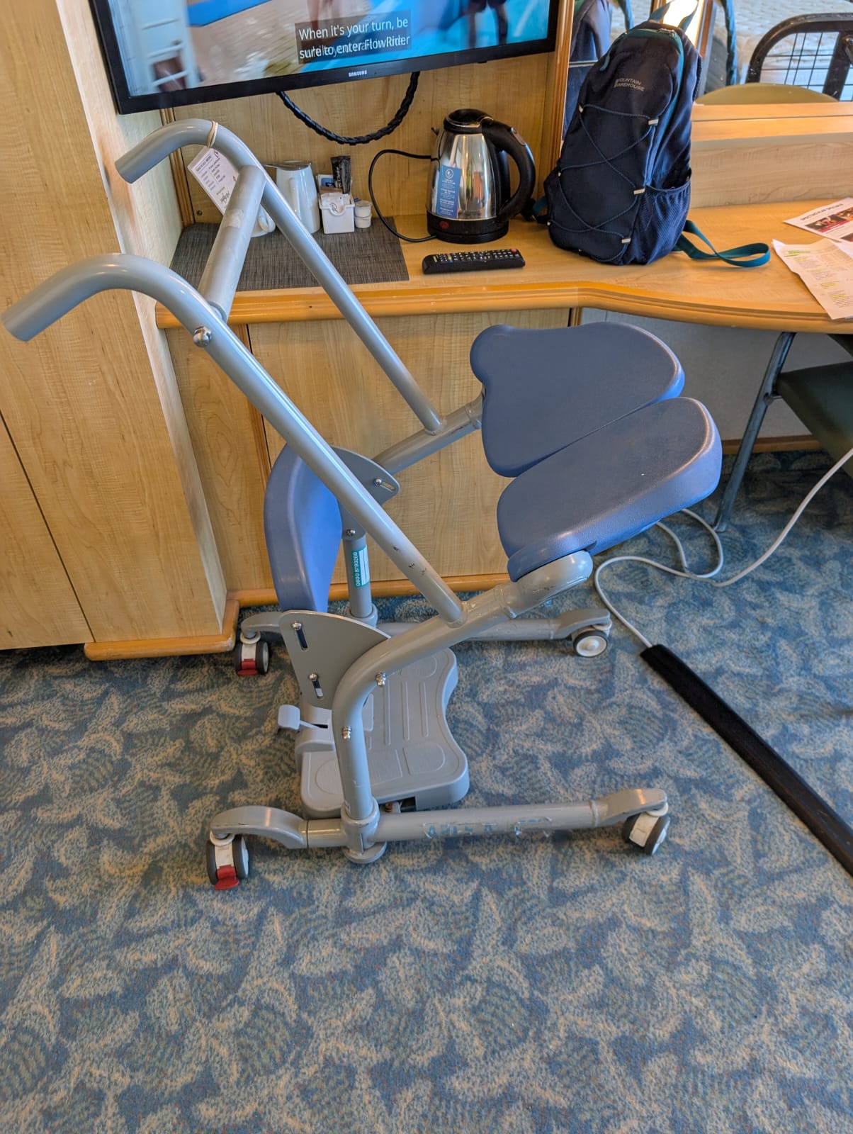 Stedy Transfer Aid in Cruise Cabin