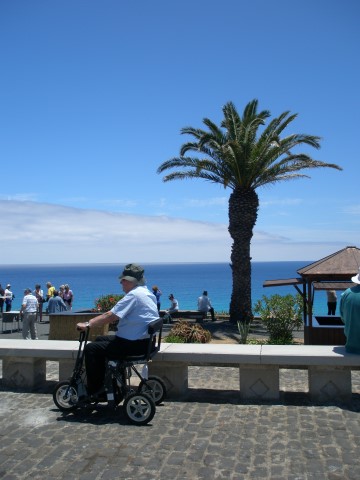 Di Blasi (Stowaway Morphic) being driven near a beach with a palm tree in background