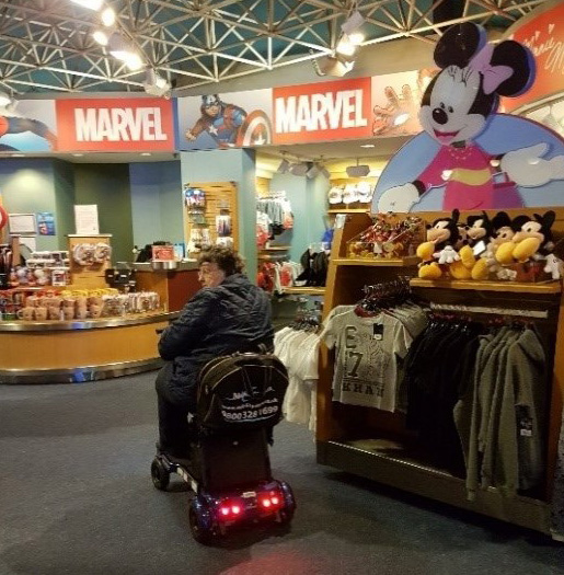 Disneyland toy shop